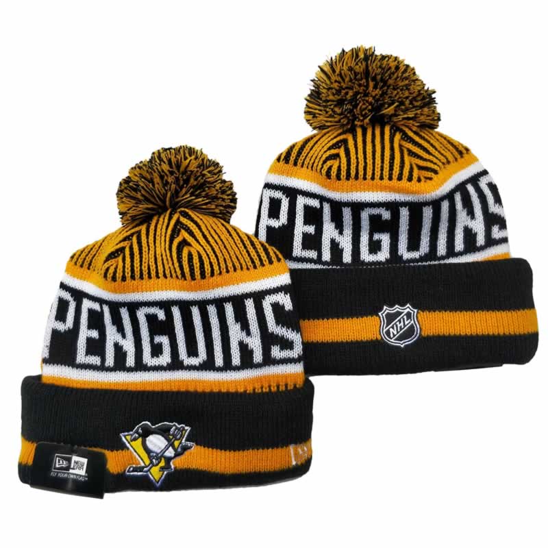 Pittsburgh Penguins Team Logo Knit Hat YD (4),We sell and wholesale Pittsburgh Penguins Team Logo Knit Hat YD (4) on line form chian!